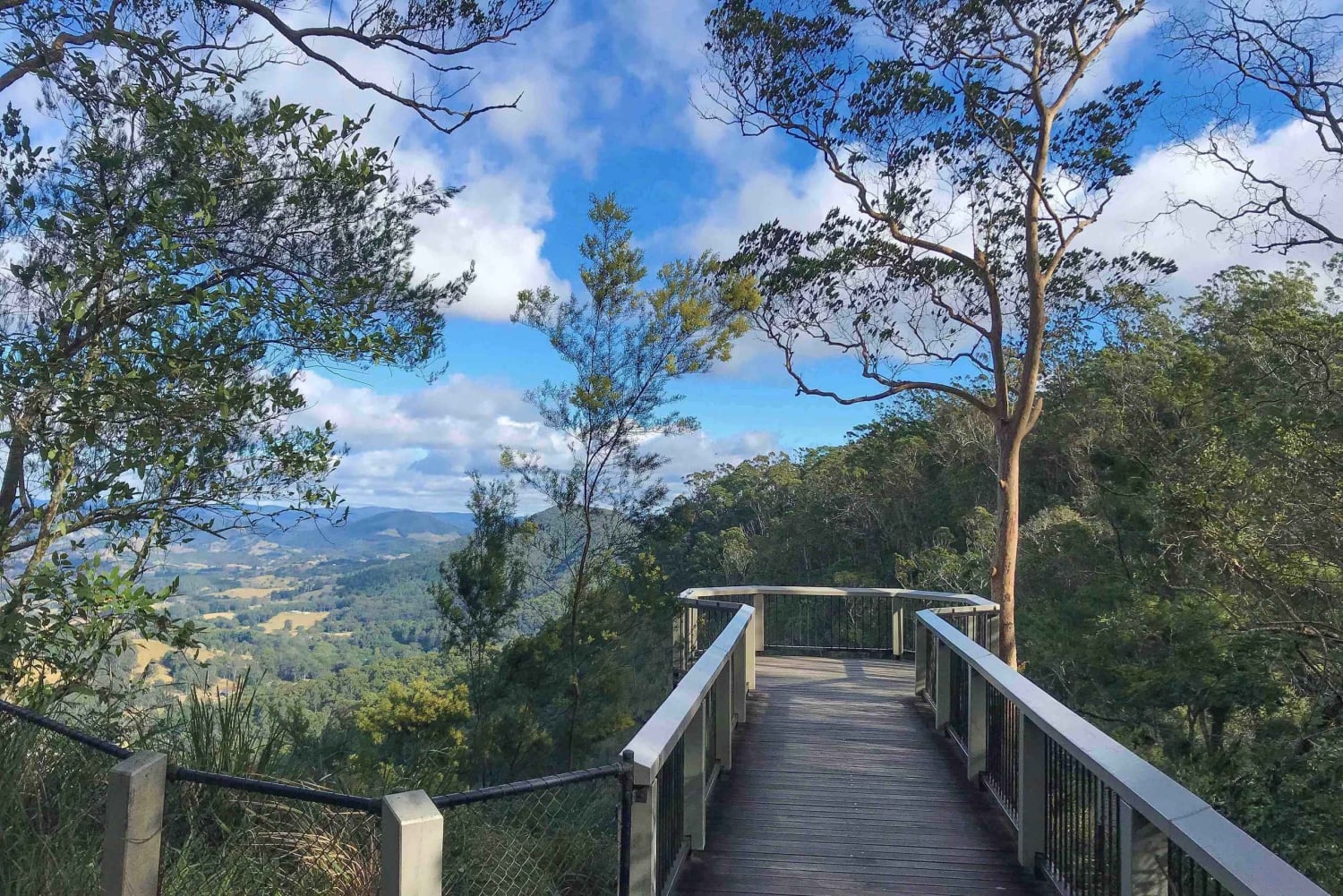 Noosa: Maleny & Montville Tour mit Mittagessen und Weinverkostung