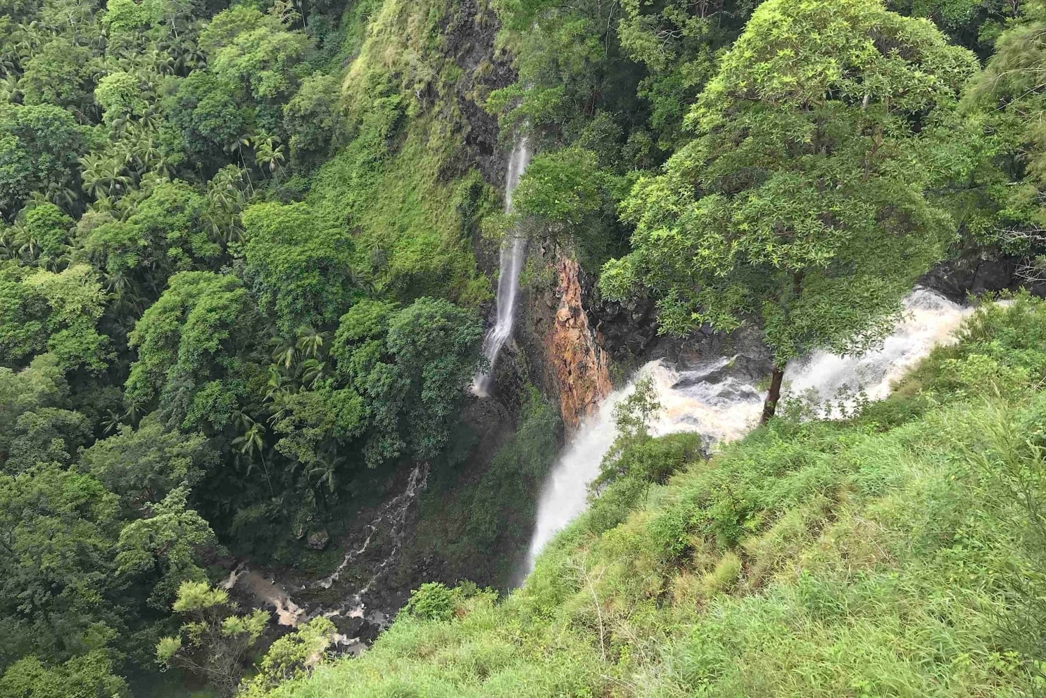 Noosa: Maleny & Montville Tour mit Mittagessen und Weinverkostung