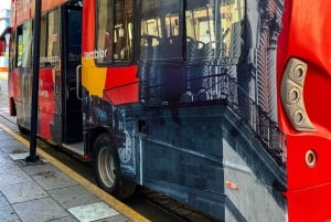 Oaxaca: Tour della città coloniale in autobus