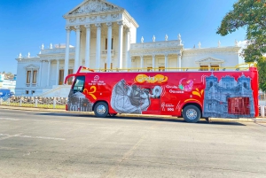 Oaxaca: Tour della città coloniale in autobus