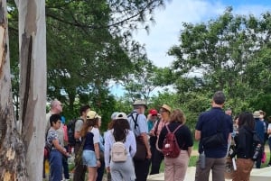 Оахака: откройте для себя Монте-Альбан и рынки Оахаки