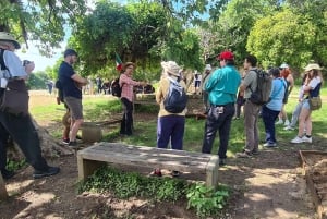 Оахака: откройте для себя Монте-Альбан и рынки Оахаки