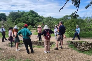 Оахака: откройте для себя Монте-Альбан и рынки Оахаки