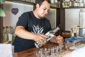 Oaxaca: Tour guiado na cidade a pé