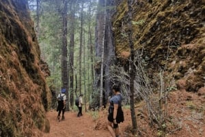 オアハカ：プエブロス マンコムナドス ハイキング ツアー