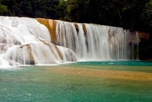 Palenque: Agua Azul, Misol-Ha and Palenque Ruins Day Tour