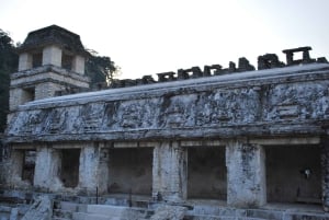 Palenque: Agua Azul, Misol-Ha and Palenque Ruins Day Tour