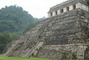 Palenque: Agua Azul, Misol-Ha and Palenque Ruins Day Tour