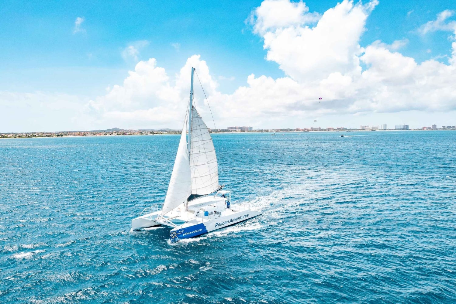 Palm Beach : Brunch au champagne et Aqua Safari