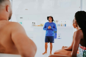 Palm Beach : Brunch au champagne et Aqua Safari