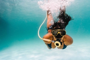 Palm Beach : Brunch au champagne et Aqua Safari