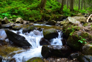 Palomino: Hiking Tour of Valencia Waterfalls with Transfers