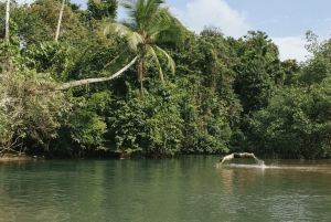 Palomino: Hiking Tour of Valencia Waterfalls with Transfers