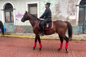 Panamakanalen och stadsrundtur i Gamla stan - Privat