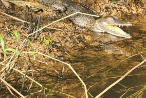Panama Canal Fast Boat tour Adventure & Canal Visitor Center