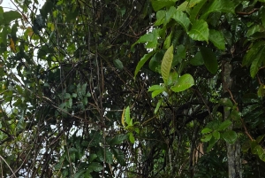 Panama Canal Fast Boat tour Adventure & Canal Visitor Center