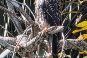 Panama Canal Fast Boat tour Adventure & Canal Visitor Center