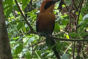 Panama Canal Fast Boat tour Adventure & Canal Visitor Center