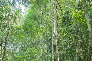 Panama Canal Fast Boat tour Adventure & Canal Visitor Center