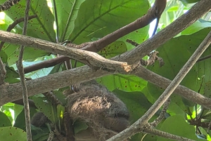 Panama Canal Fast Boat tour Adventure & Canal Visitor Center