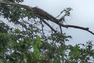 Panama Canal Fast Boat tour Adventure & Canal Visitor Center