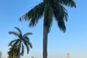Panama-Stadt: Casco Viejo, Amador und Cinta Costera Tour