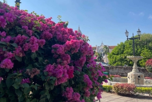 Panama-Stadt: Casco Viejo, Amador und Cinta Costera Tour