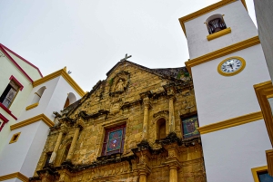 Panama City: Guided Panama Canal & City Tour with Transfers