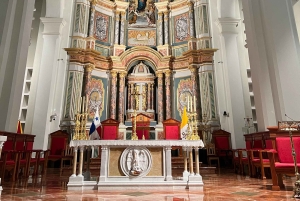 Panama City: Guided Panama Canal & City Tour with Transfers