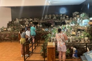 Panama City: Half-day tour of highlights and Panama Canal