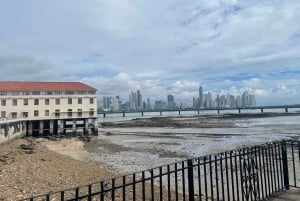 Panama City: Half-day tour of highlights and Panama Canal