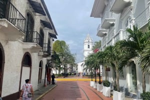 Panama City: Half-day tour of highlights and Panama Canal