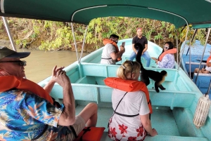 Ciudad de Panamá: Excursión al Canal de Panamá y la Isla de los Monos