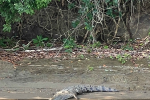 Ciudad de Panamá: Excursión al Canal de Panamá y la Isla de los Monos