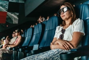 Panama City & Panama Canal Half-Day Tour + Panama Sign Stop