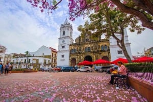 Panama-Stadt: Private Tour zu Fuß
