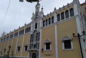 Panama City: Wspólna półdniowa wycieczka po mieście i kanale