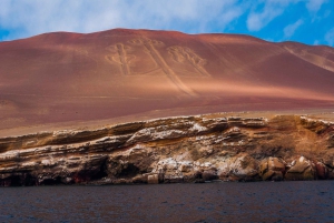 Paracas: Ballestas Islands and Candelabro Boat Tour