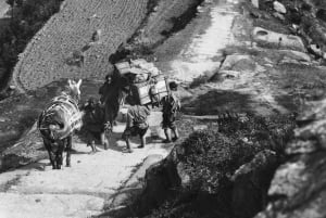 Parigi: biglietto d'ingresso per il Museo Cernuschi