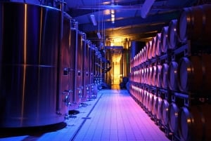 パシー・グリニー：チョコレートとシャンパンのテイスティングツアー