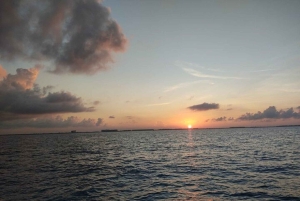 PDC : Excursion en catamaran à Isla Mujeres avec plongée en apnée