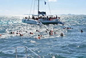 PDC : Excursion en catamaran à Isla Mujeres avec plongée en apnée