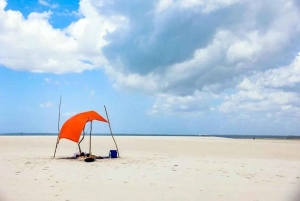 Pemba: Makangale Village og Vumawimbi Beach-tur med frokost