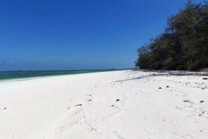 Pemba: Makangale Village og Vumawimbi Beach-tur med frokost