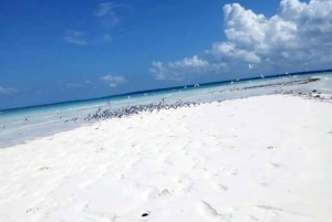 Pemba: Makangale Village og Vumawimbi Beach-tur med frokost