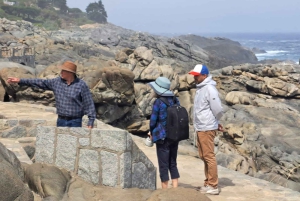 Penguins, Sea Lions, Sandboard, Chilean food & Drinks
