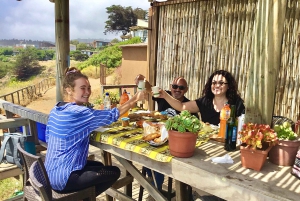 Penguins, Sea Lions, Sandboard, Chilean food & Drinks