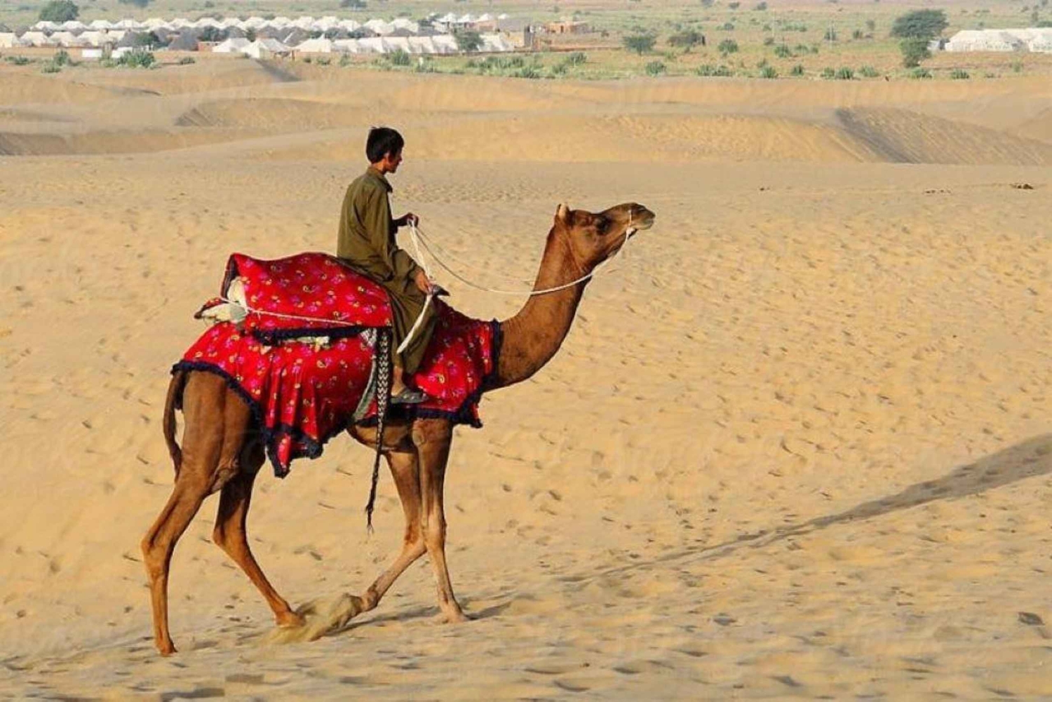 Perú: Paseo en camello y cata de vinos en el desierto