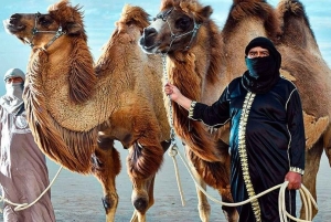 Perú: Paseo en camello y cata de vinos en el desierto