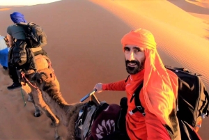 Perú: Paseo en camello y cata de vinos en el desierto